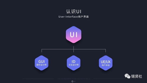 Java UI设计与软件销售 UI设计师的角色与职责解析